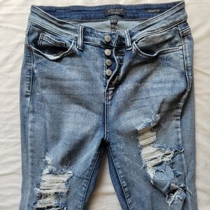 Judy Blue Distressed Skinny Jeans